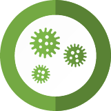 Commercial Mold Inspection Pros