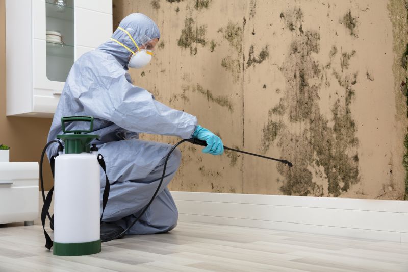 Commercial Mold Inspection