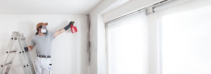 Attic Mold Remediation in Dallas, TX