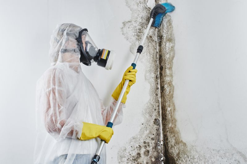 Attic Mold Removal in Essex County, NJ