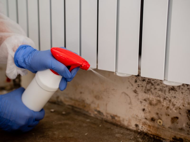 Black Mold Remediation in Broward County, FL
