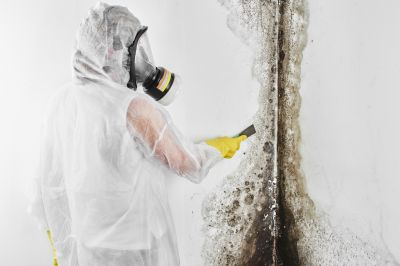 Black Mold Removal in Rockwall, TX