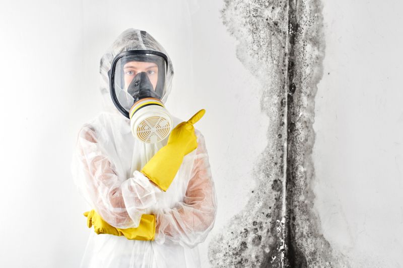 Commercial Mold Inspection