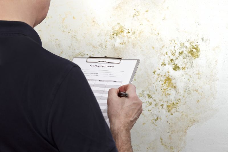 Commercial Mold Inspection