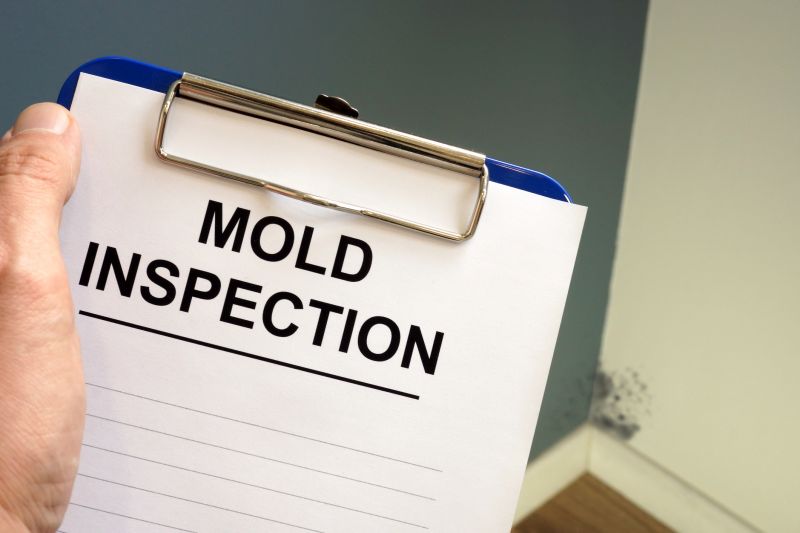 Completed Mold Inspection Report