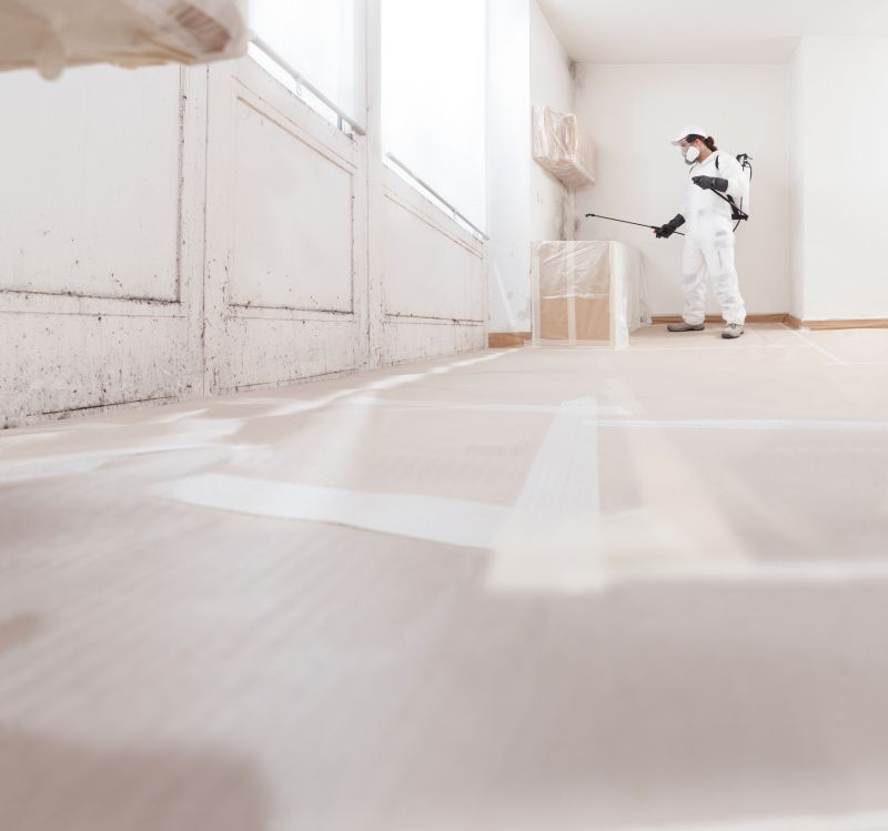 Crawl Space Mold Removal in Bergen County, NJ