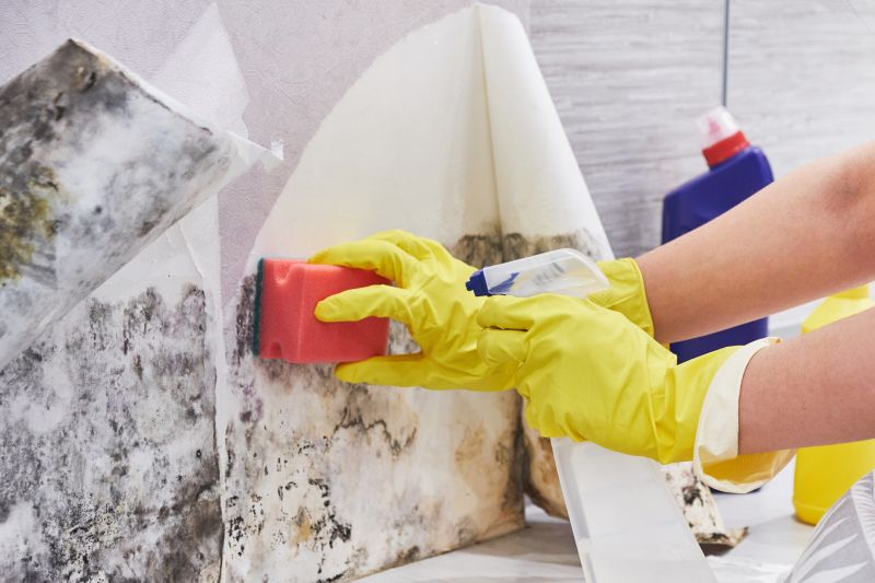 Crawl Space Mold Removal in Broward County, FL