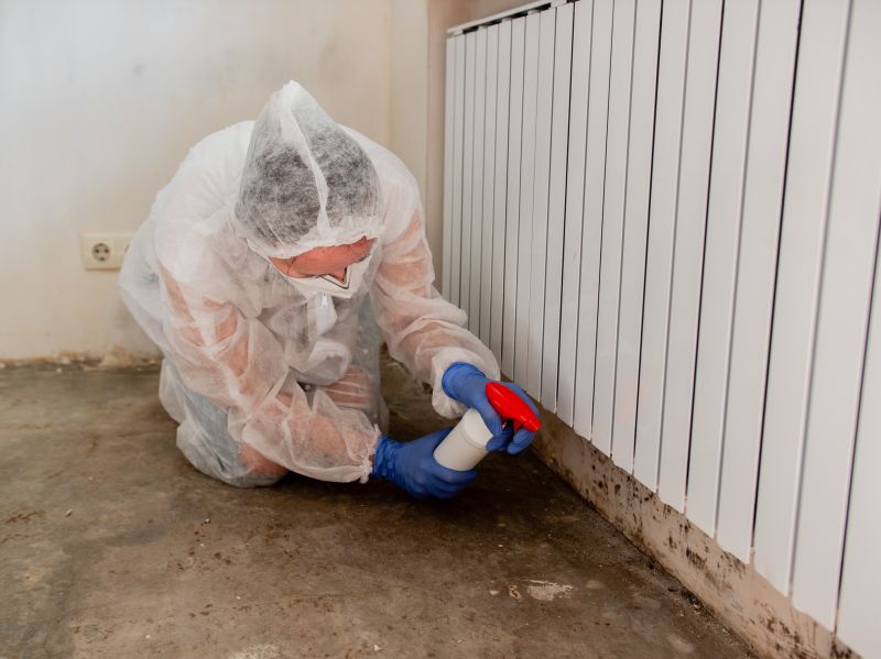 Crawlspace Mold Remediation in Fort Worth, TX