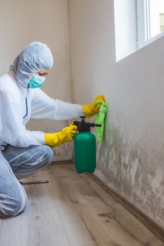 Garage Mold Remediation in Broward County, FL