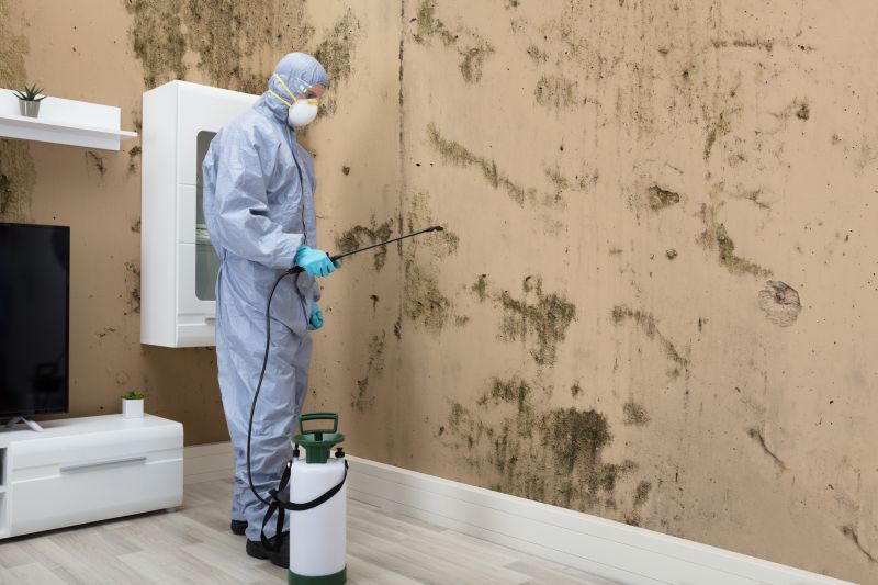 Mold Control in Fort Lauderdale, FL