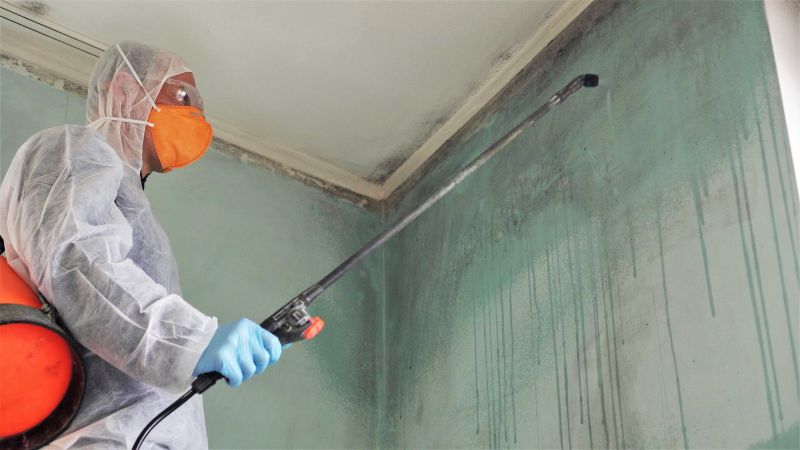 Mold Treatment Service in Jupiter, FL