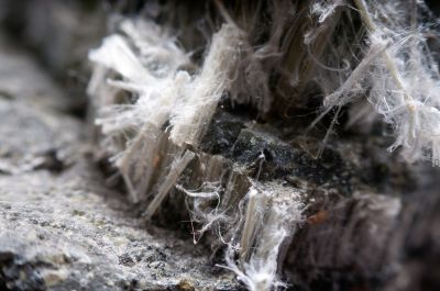 Asbestos Inspection Service in Essex County, NJ
