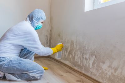 Black Mold Remediation in Jupiter, FL