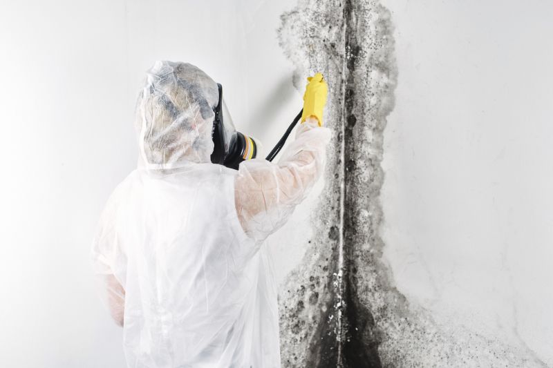 Mold Treatment Service in Frisco, TX