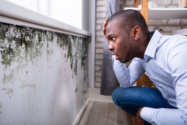 House Mold Inspection - House Mold Inspection Gwinnett County, Georgia